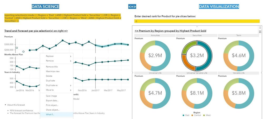 SAS Visual Analytics dashboard